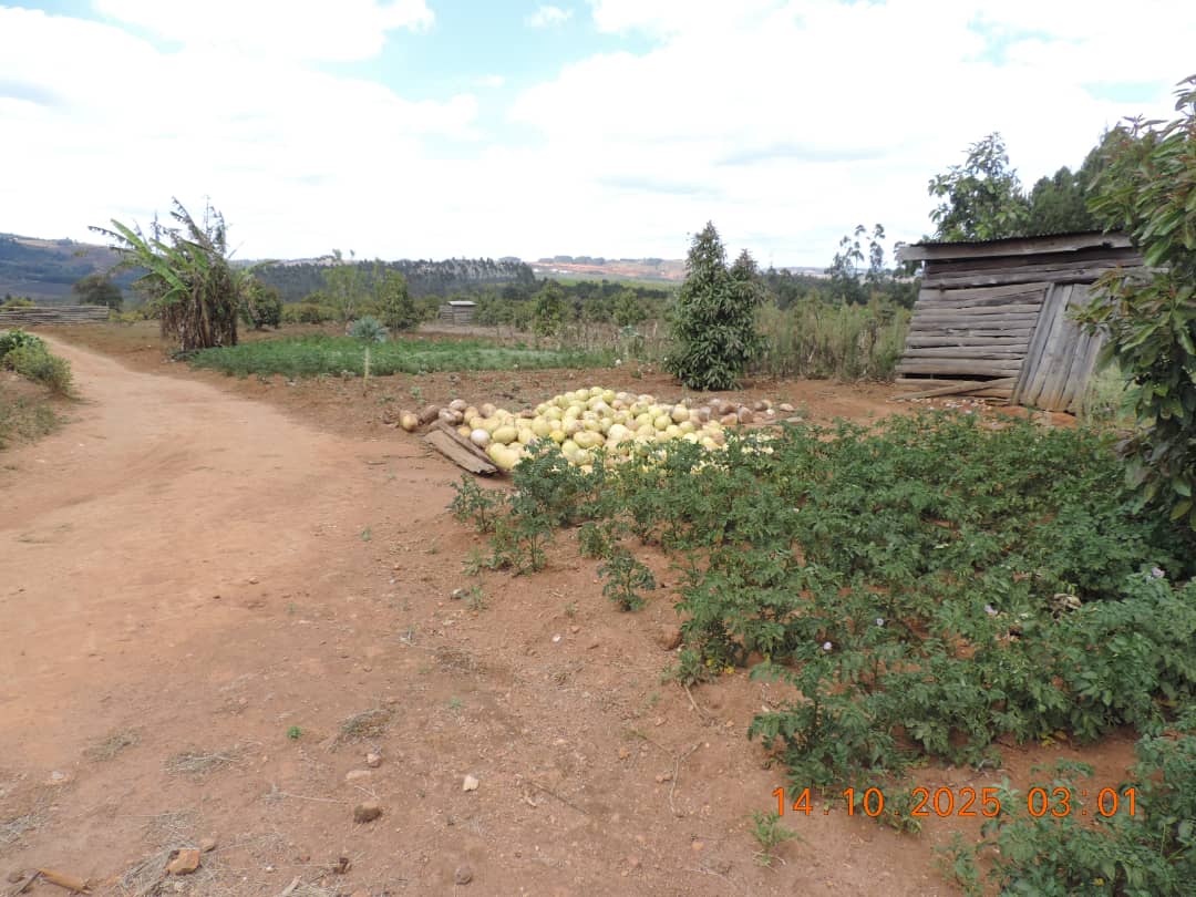 Education & Vocational Training