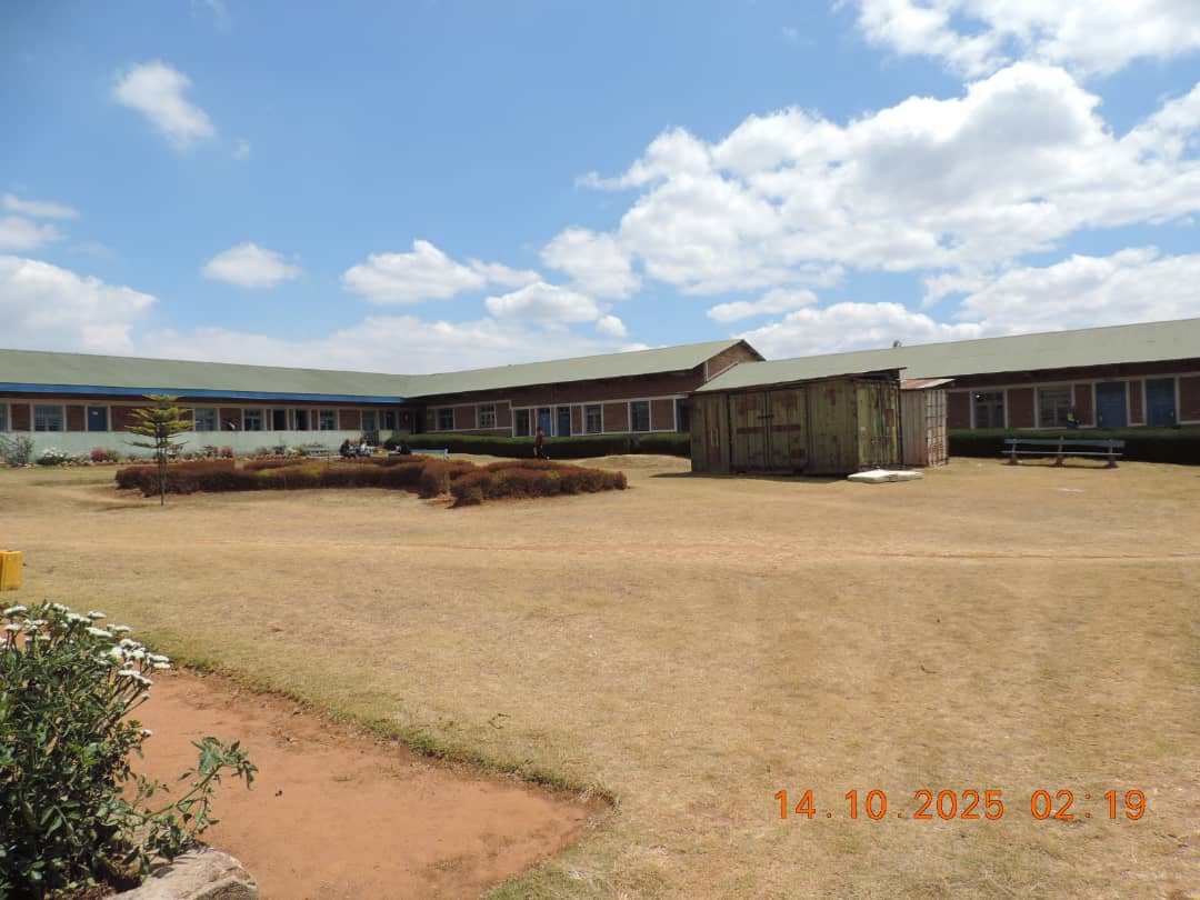 Catechesis & Faith Formation